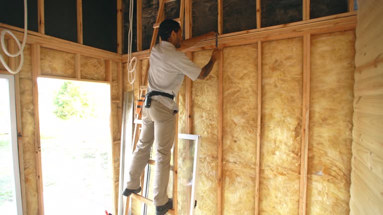 Best Insulation Air Sealing  in Bellevue, WI